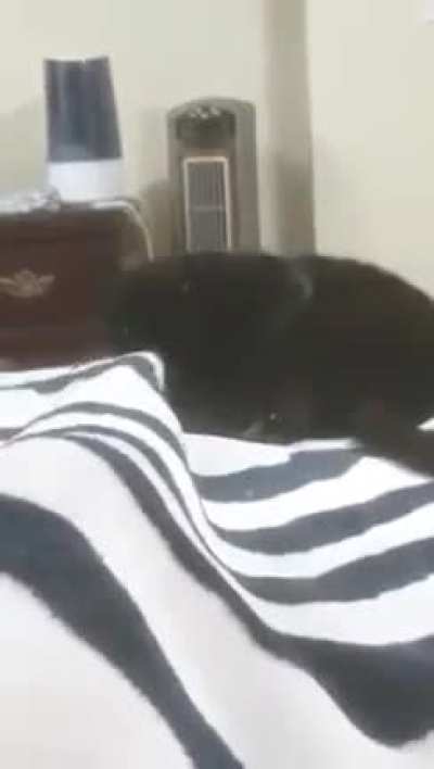 Calculating how much pain to dispense.