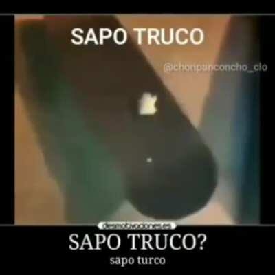 Sapo truco