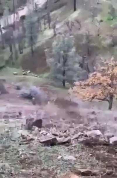 Fuck that tree in particular 