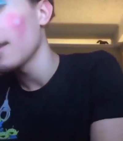 These bronies are getting out of hand