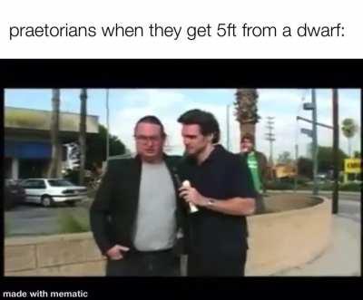 they reek of mactera brew