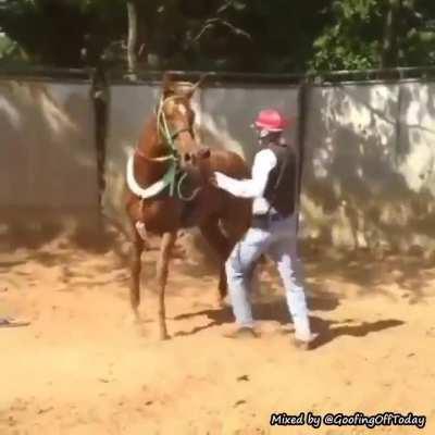 WCGW kicking a horse