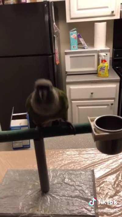 I’m not sure why Ino loves my singing... but here it is. (Song is Morphine by Alec King if y’all are curious)