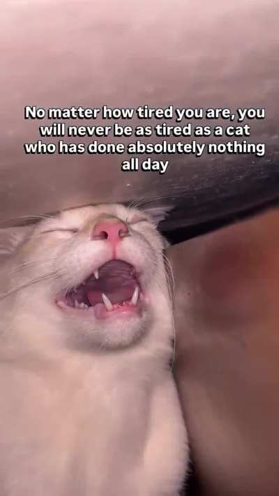 I understand, you already owned me 😅✌️