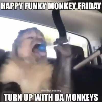 Monke