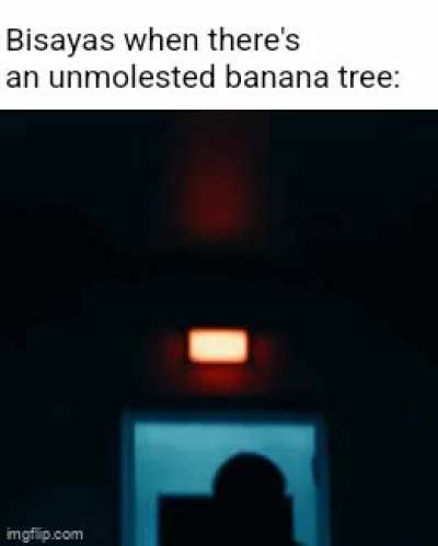 Regionalism is back on the menu