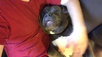 How to tame an alien.