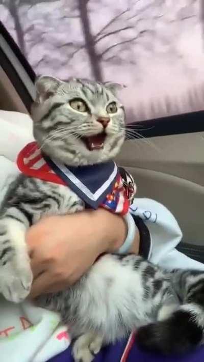 Where will you be when the nip kicks in!