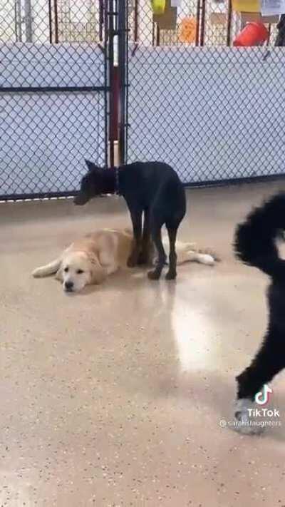 He like hesitated at first lol