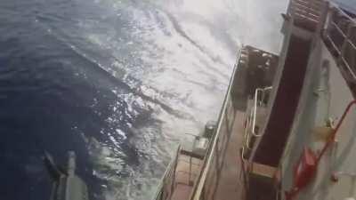 Security Forces Stop Somali Pirates