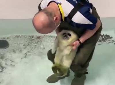 Look at this silly little goofball, take 2