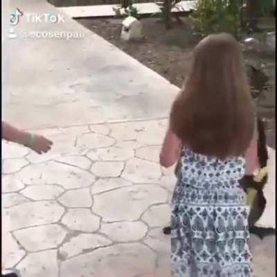 Respeto, llegó el admin