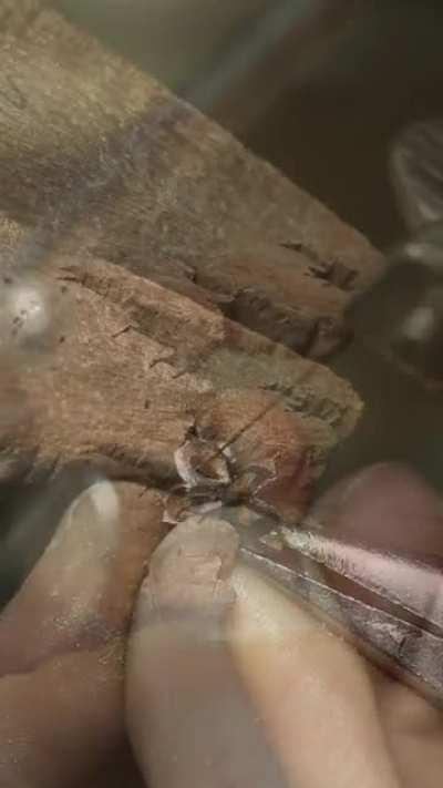 Full Process | Vintage Style Engagement Ring