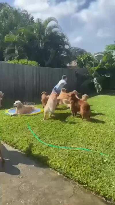 Kevinâs Fun Day