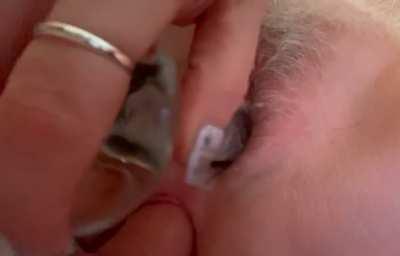 Do you hear the way she sucks on that glass? It will be the same for your cock. 