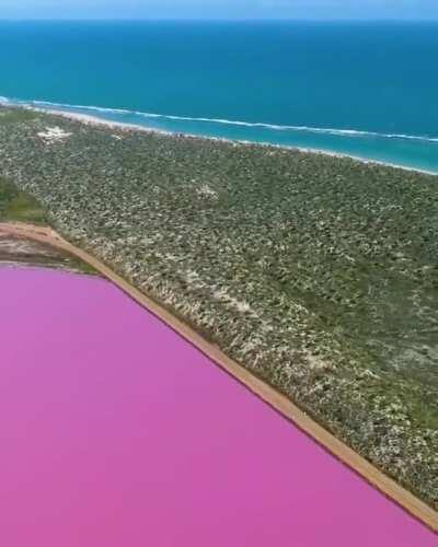 Pink Lake (Hutt Lagoon) is a salt lake in Western Australia. The water in this lake is pink due to the growth of algae in it, which produce the red-orange beta-carotene pigment.