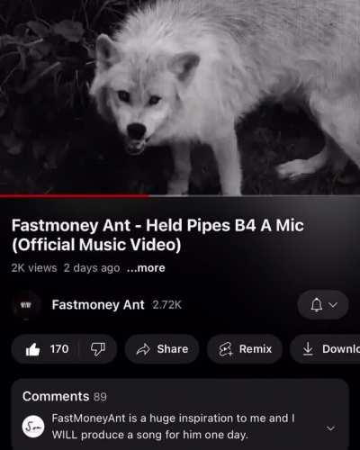 Fastmoney Ant next to blow nigga just gotta be consistent 😂🔥