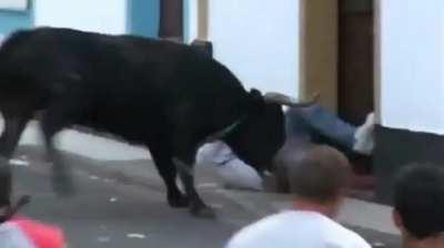 Bull vs man bull wins part2