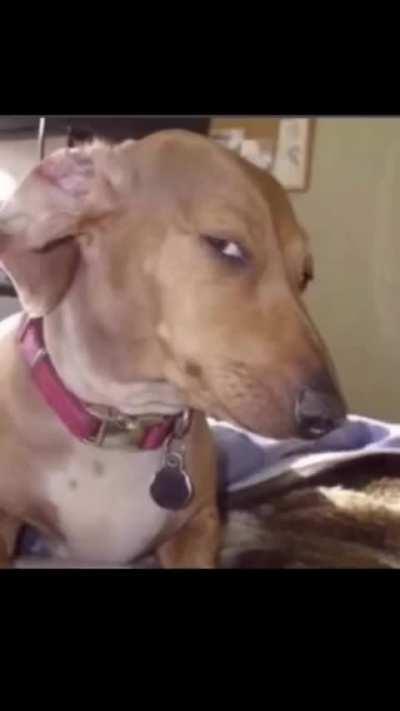 “as a skinny person”