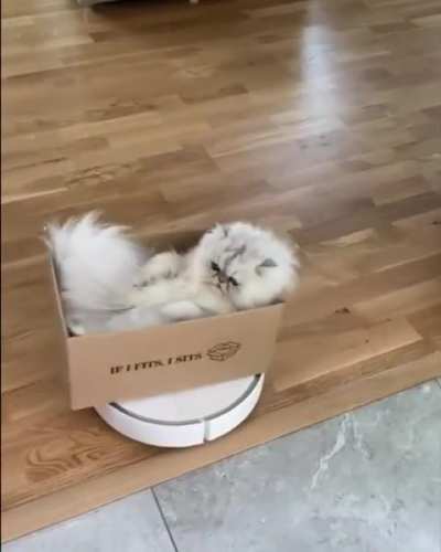 They're just kids 😂🥰