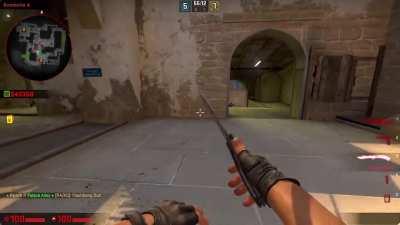 xqc csgo gameplay be like