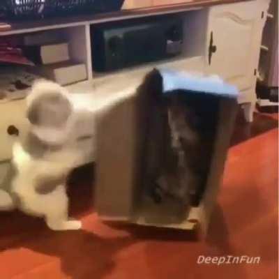 Hyper-intensity ENGAGE!