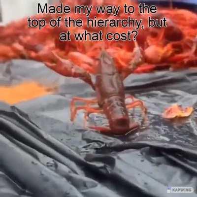 The top lobster