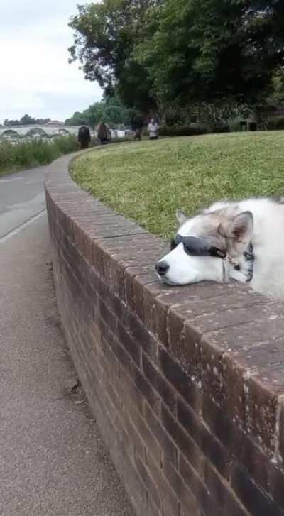 (OC) Hime's new plan for the strategic acquisition of BOOP has not, as of yet, paid any dividends.