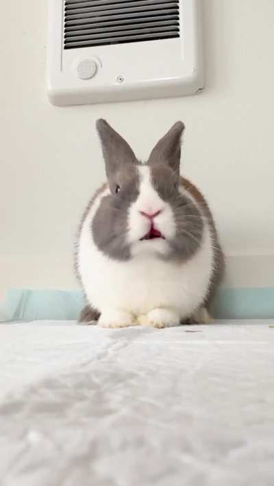 the last thing a blackberry sees before it dies