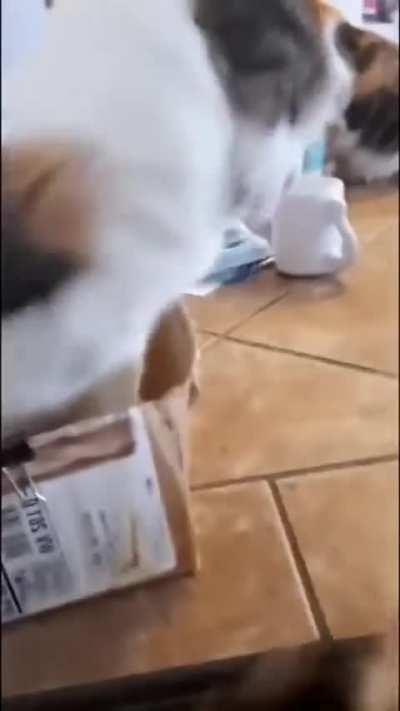 Phantom Slaps incoming 