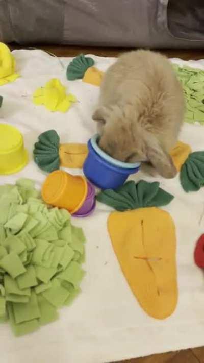 He’s ready to go to the Olympics of stacking cups lol