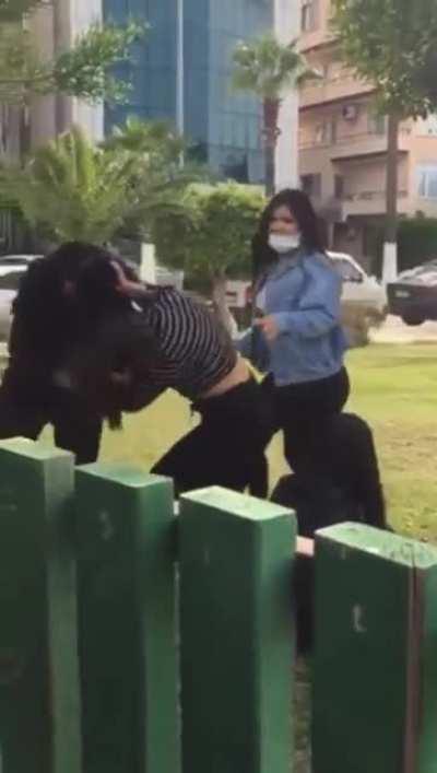 Girl fight