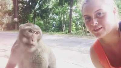 Tourist smiles at a wild monkey