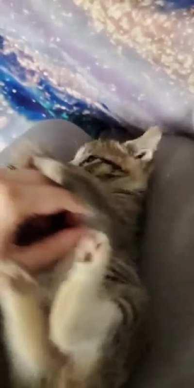 Her tiny fangs might hurt but she's just too cute!