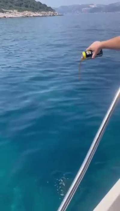 So this is what happened to my father...