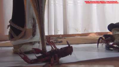 Adi High Heels crd Crush