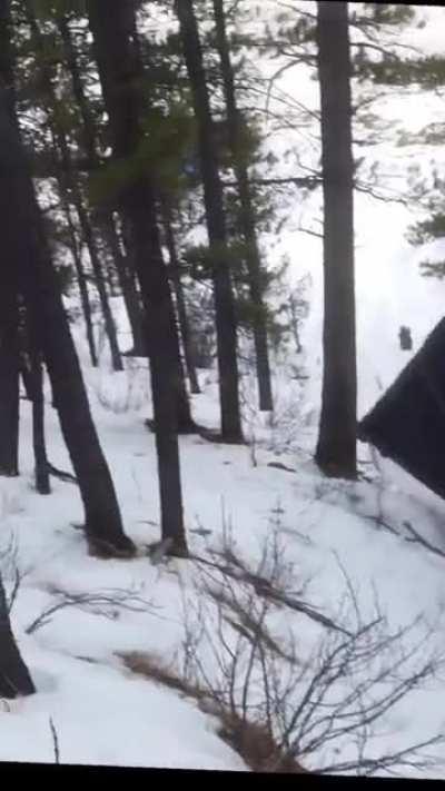 Driving a Jeep down a bumpy hill