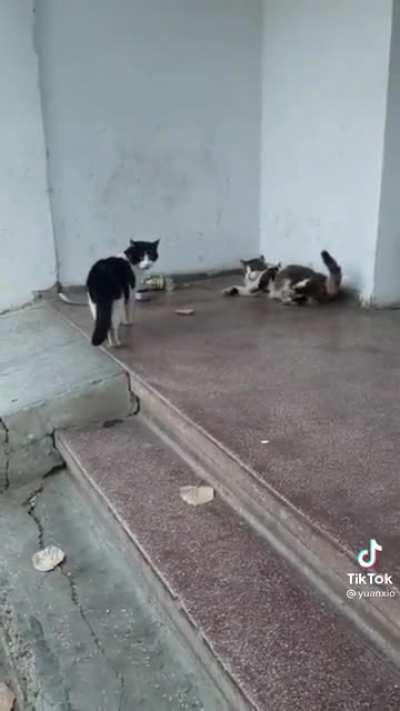 Poor guy almost had a heart attack