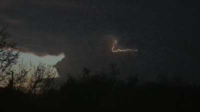 Backyard Bolt