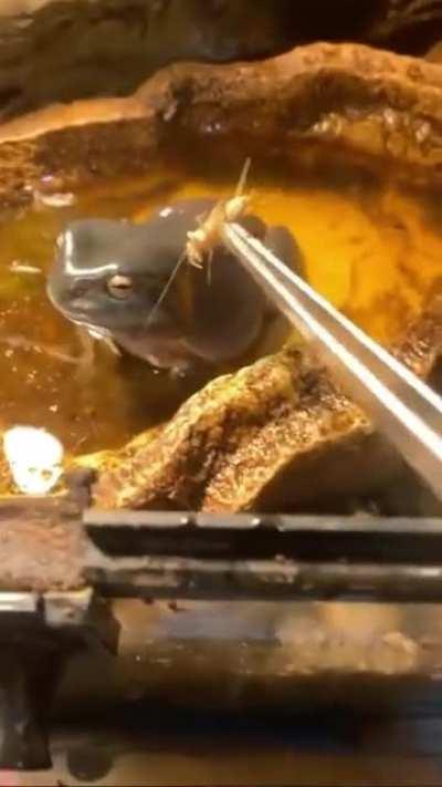 He really took that personally