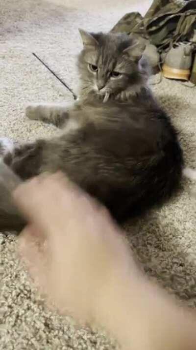 I think she's a squeak toy.