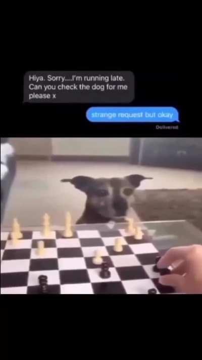 What is this move called? 