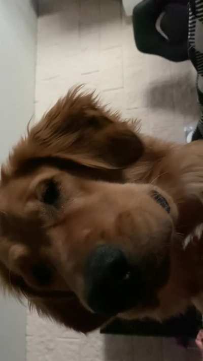 You have to stay still and they won’t detect you…