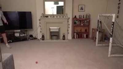 FFs, I just can't score...Brilliant, Kitty playing goalkeeper.....Purrrrps!!!