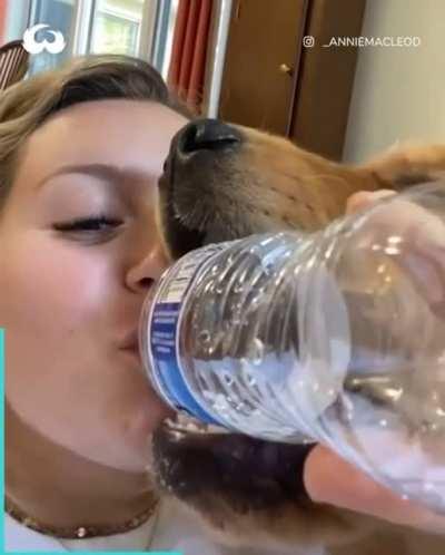 That bitch is thirsty