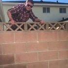 Crazy neighbor freaks out over a plant