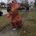 Wind...natural predator of the T-Rex.