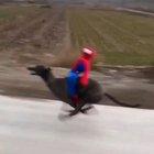 Giddy Up Cowboy! 😎😂🤠