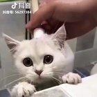 shamelessly stole from a long time ago,