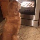 Fun fact about Carter: he watches cookies bake in the oven from start to finish.